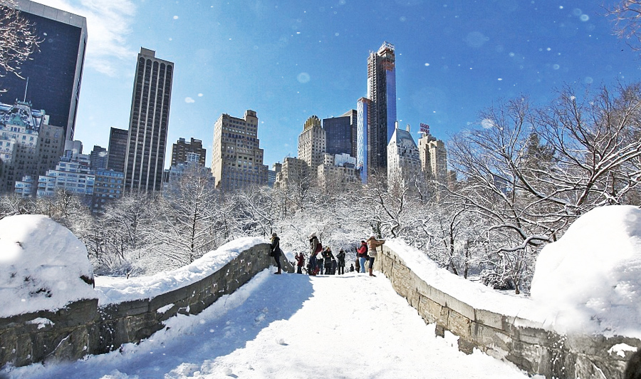 Central Park Winter