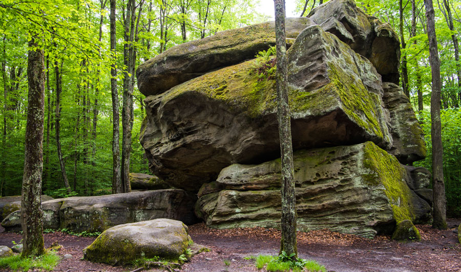 Allegany State Park: Thunder Rocks Area