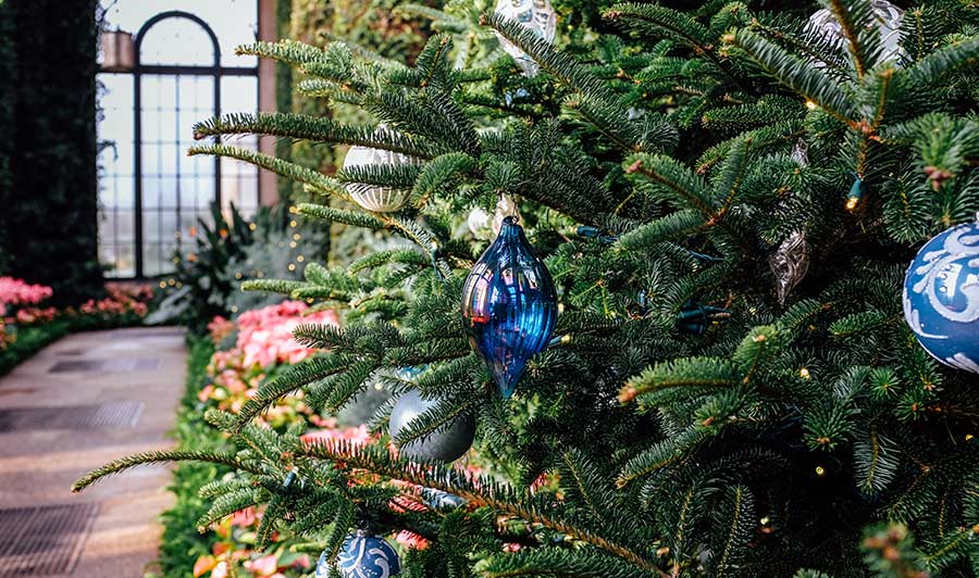 Weihnachten in den Longwood Gardens