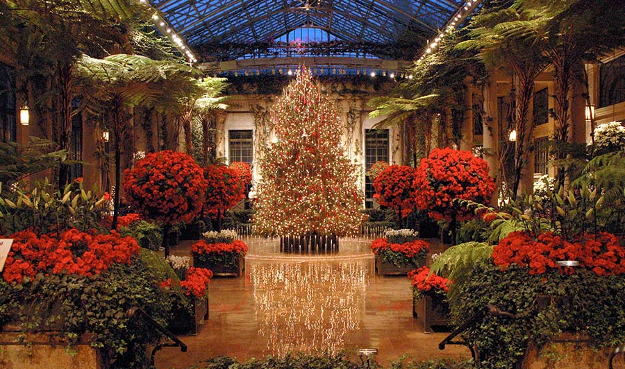 Zahlreiche Gewächshäuser erstrahlen im Lichterglanz: Longwood Gardens