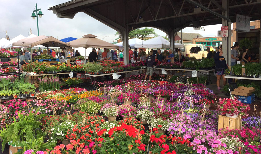 Bunter Bauernmarkt in Rochester