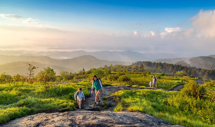 Black Balsam Knob beim Blue Ridge Parkway