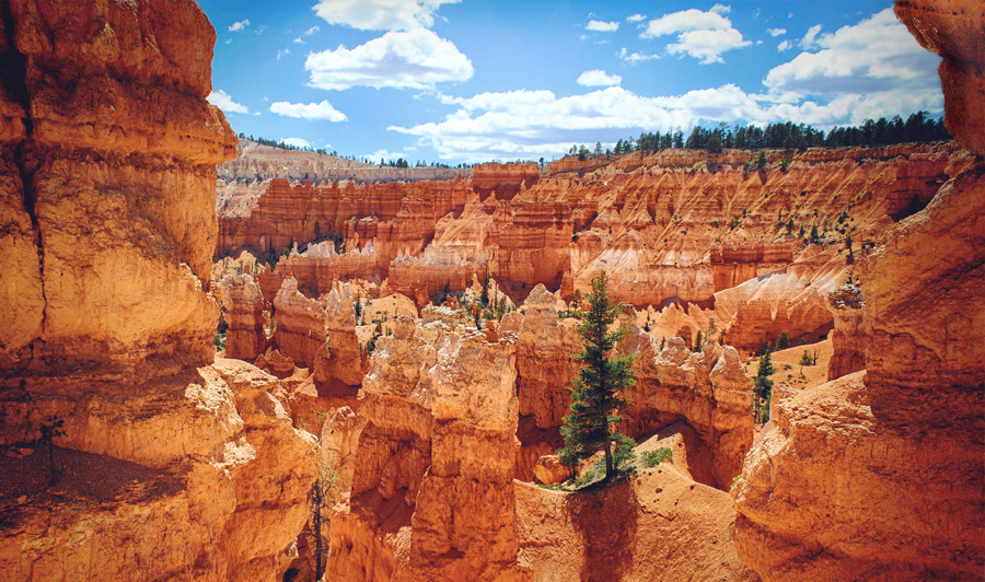 Bryce Canyon Nationalpark | Bryce Canyon Nationalpark