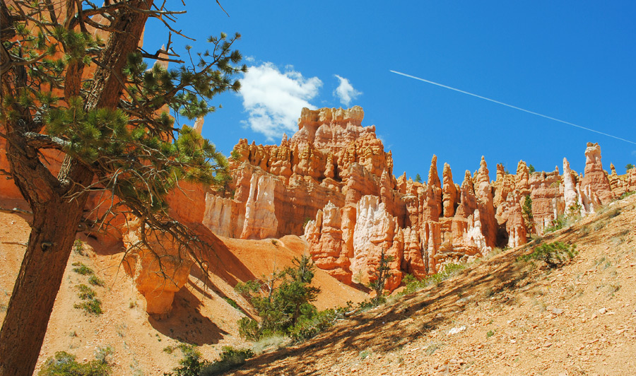 Bryce Canyon Hoodoos