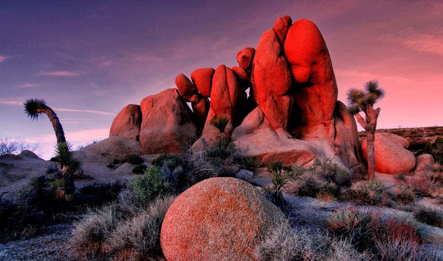 Joshua Tree Nationalpark