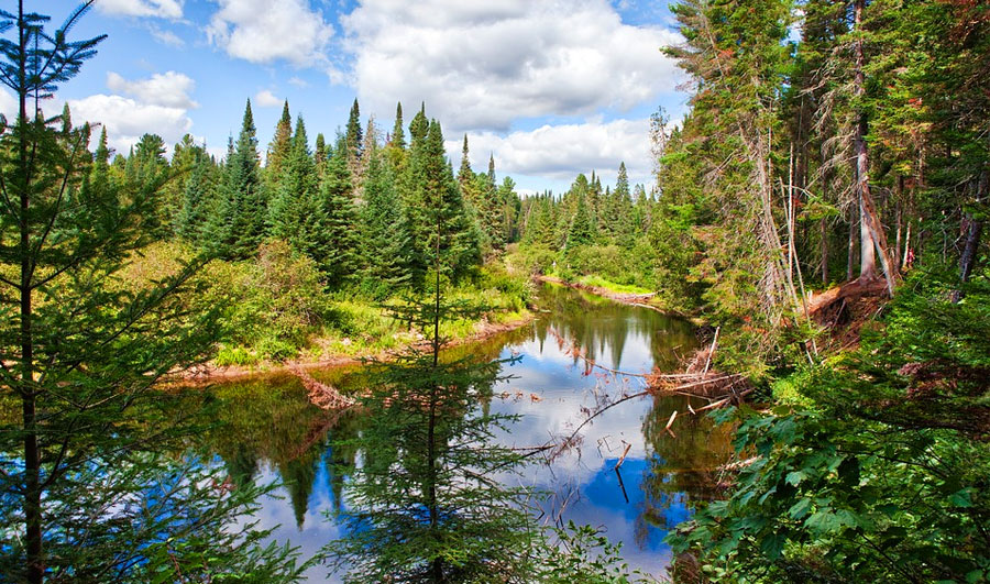 Algonquin Provincial Park