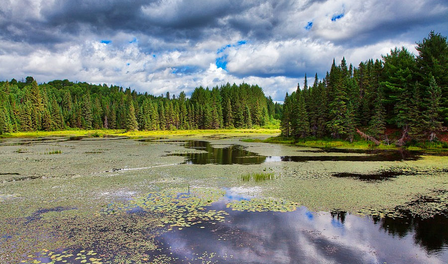 Algonquin Provincial Park | Algonquin Provincial Park