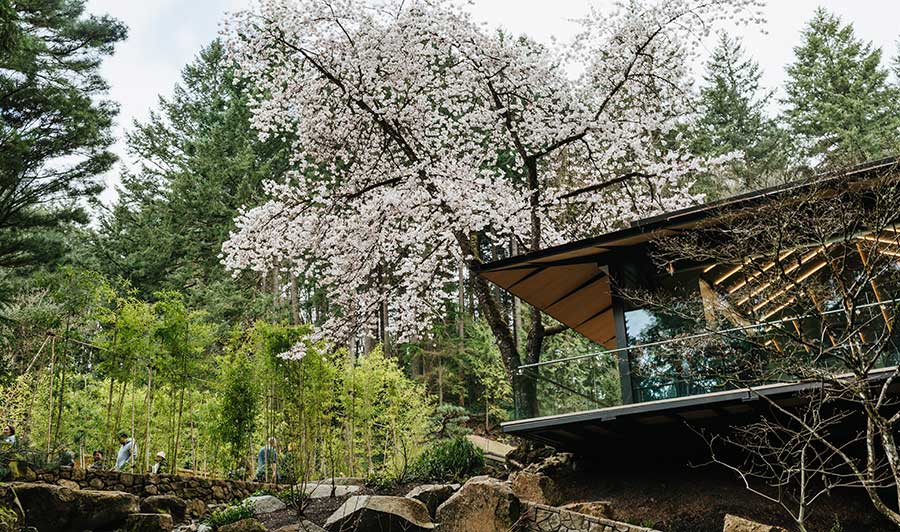 Malerisch im Frühjahr: japanischer & chinesischer Garten in Portland