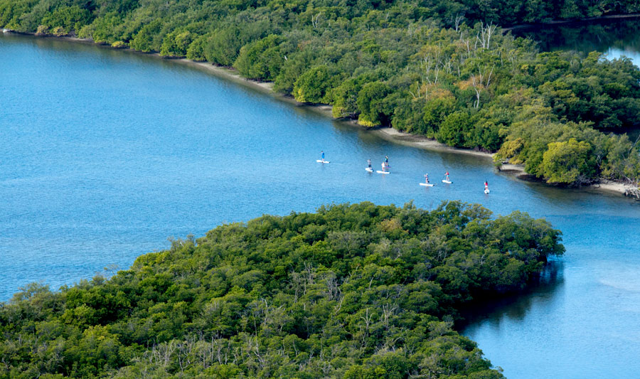 Natur pur in den Palm Beaches