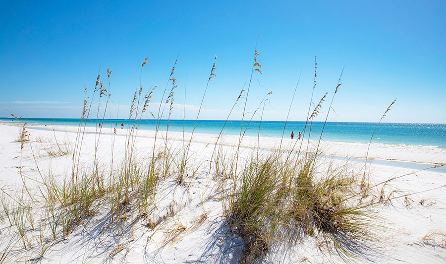 Florida - Neu und immer wieder schön - Express