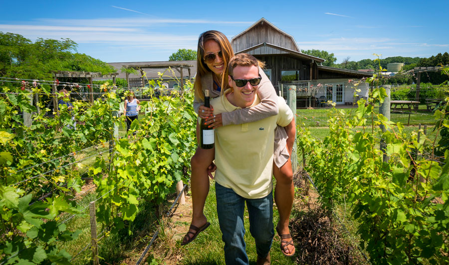 Brandywine Valley & Countryside | VaLa Vineyards