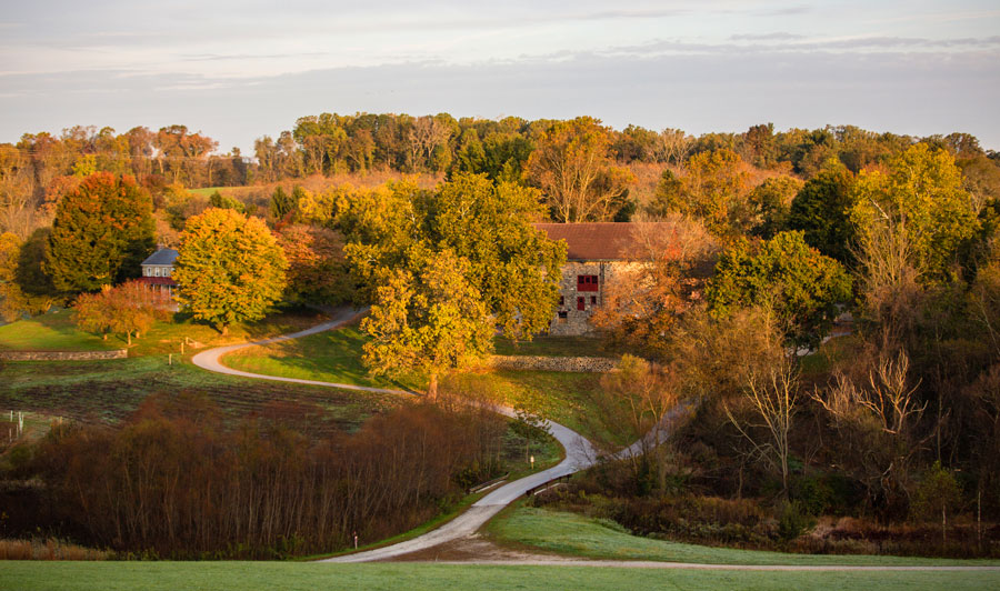 Stroud Preserve