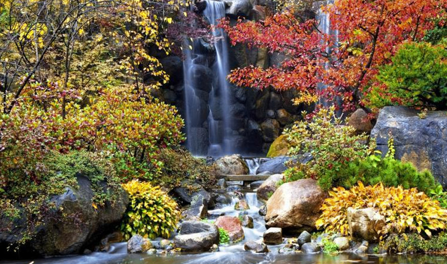 Anderson Japanese Gardens in Rockford