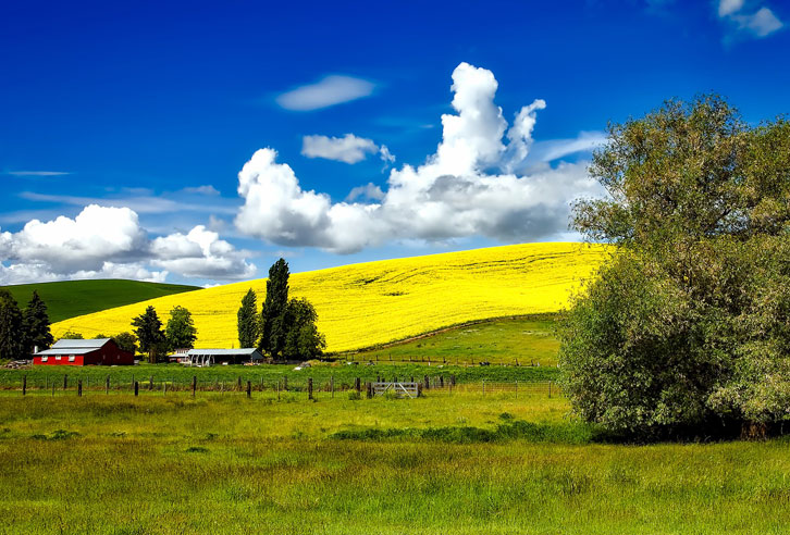 Typische Farm in Idaho