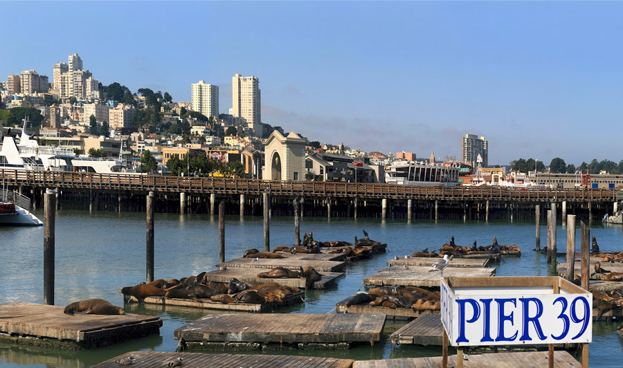 Pier 39, San Francisco