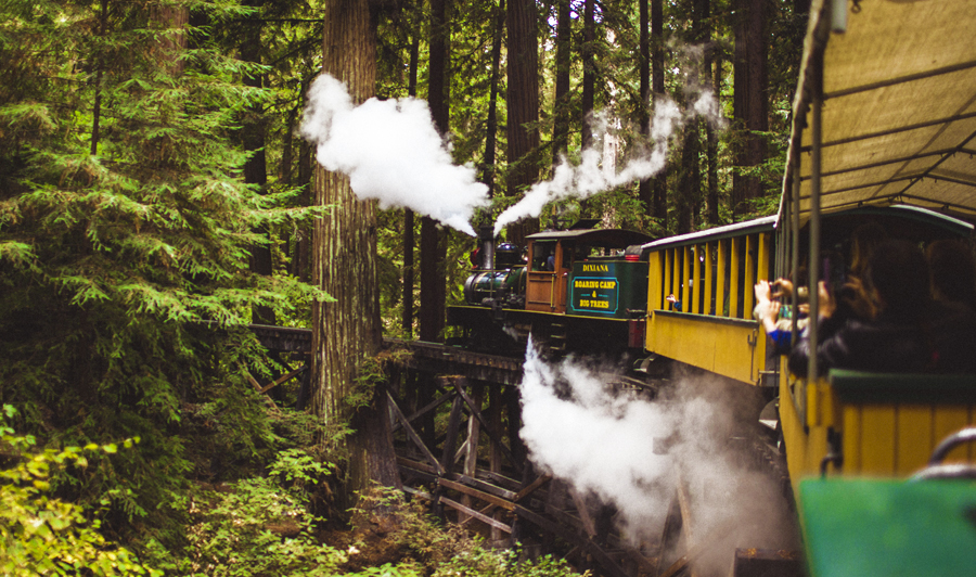 Roaring Camp 