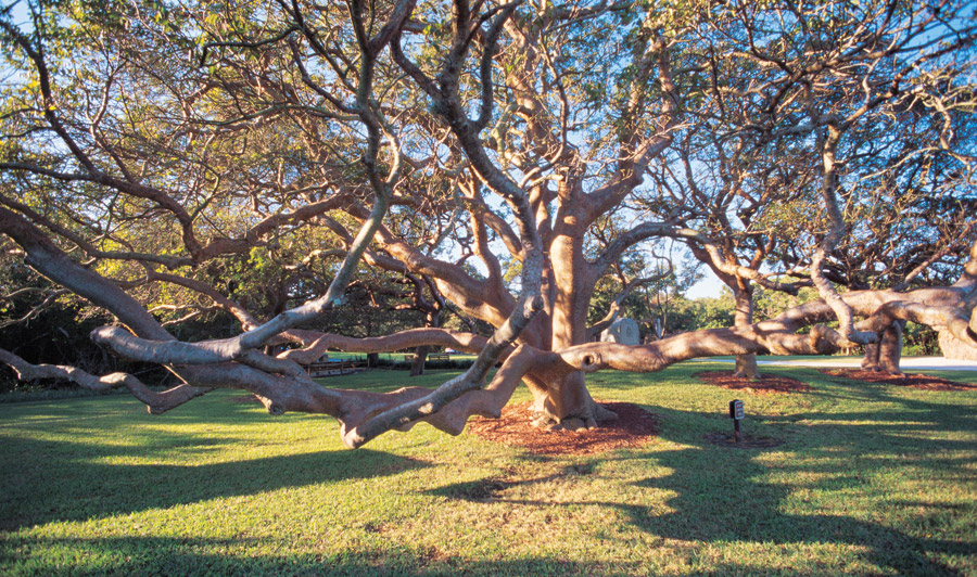Desoto National Memorial