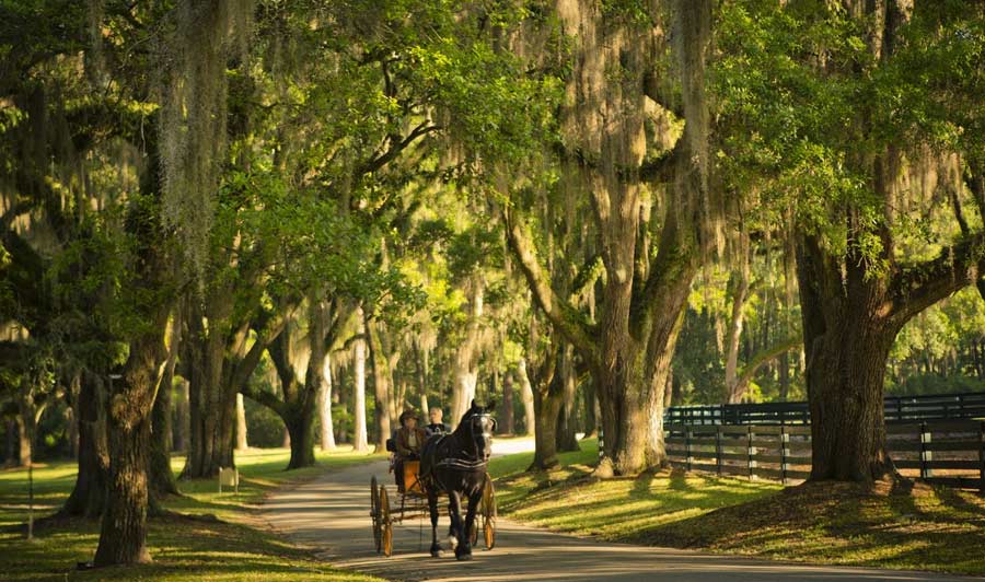 Pebble Hill Plantation, Thomasville