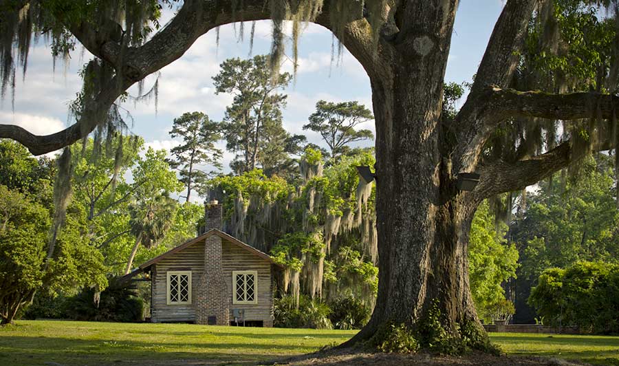 Pebble Hill Plantation, Thomasville