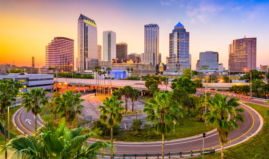 Tampa Skyline
