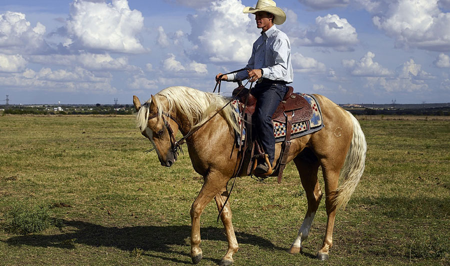 texanischer Cowboy