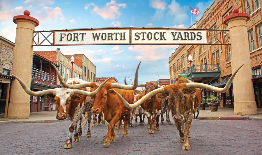 Howdy, welcome to Texas!