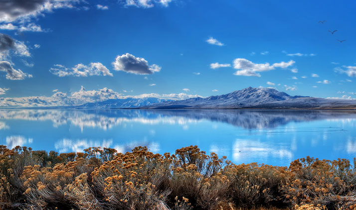 Antelope Island bei Salt Lake City: Perfekt fürs Stargazing, aber auch tagsüber zur Vogel- und Bisonbeobachtung