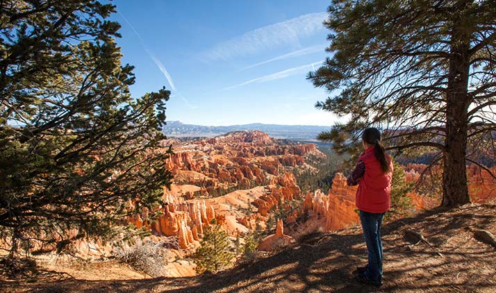 Über eine Traumstraße in den Bryce Canyon Nationalpark | Wandern und staunen: der Bryce Canyon Nationalpark