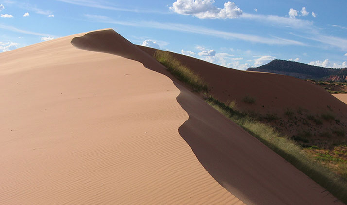 Kanab | Coral Pink Sand Dunes State Park