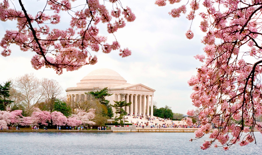 Dollar-Druckerei & Jefferson Memorial | Jefferson Memorial, Washington D.C.