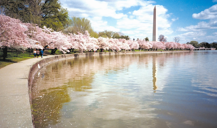 National World War II Memorial & Washington Monument | Washington Monument