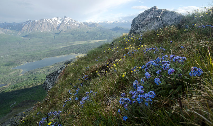 Mount Barker, Kluane National Park