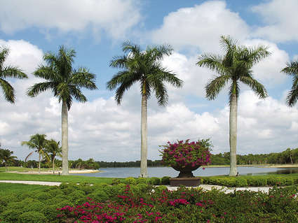 Apartments Lely Resort Golf Country Club In Naples Florida