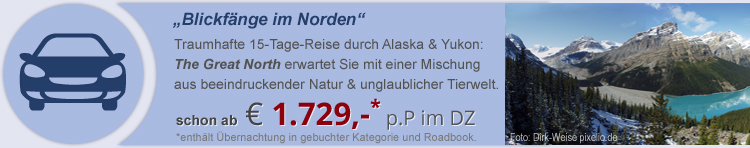 Blickfänge im Norden Alaskas
