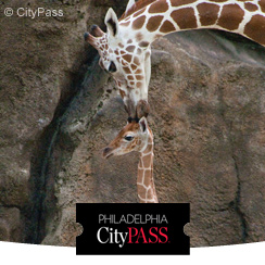 CityPass