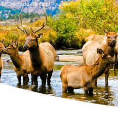 Rocky Mountain Nationalpark