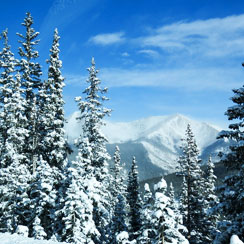 Colorado Winterurlaub