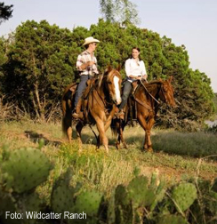 Tipp: Wildcatter Range