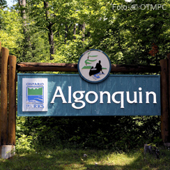 Algonquin Park