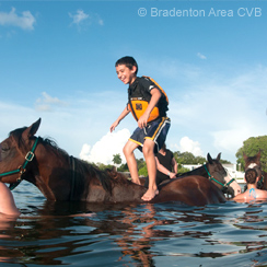 Horse Surfing