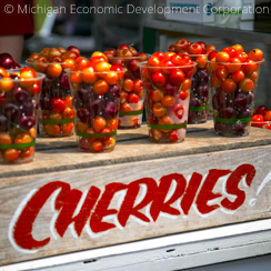 Traverse City Cherry