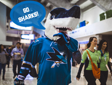 Eishockey: San José Sharks