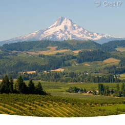 Multnomah Falls & Mount Hood