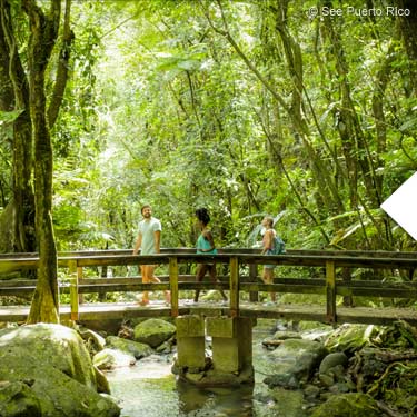 Abenteuer El Yunque -