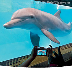 Clearwater Marine Aquarium 