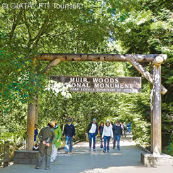 Muir Woods & Sausalito Tour