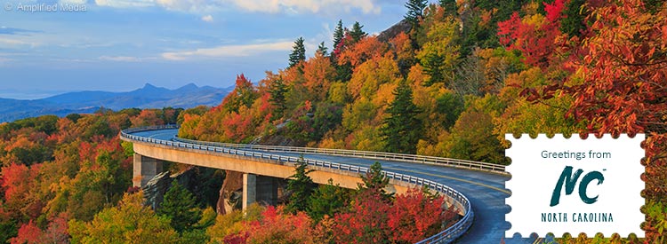 Grüße aus North Carolina!