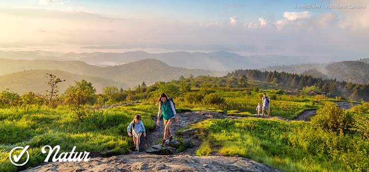 Natur pur - auch in North Carolina