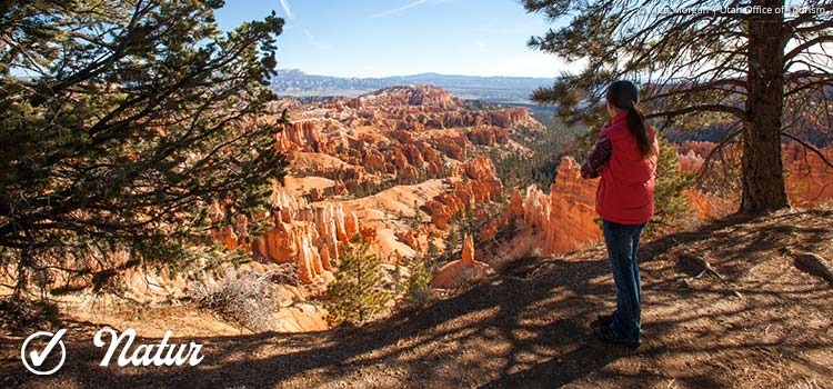 Unglaubliches Utah