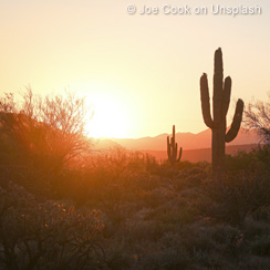 Phoenix, Arizona